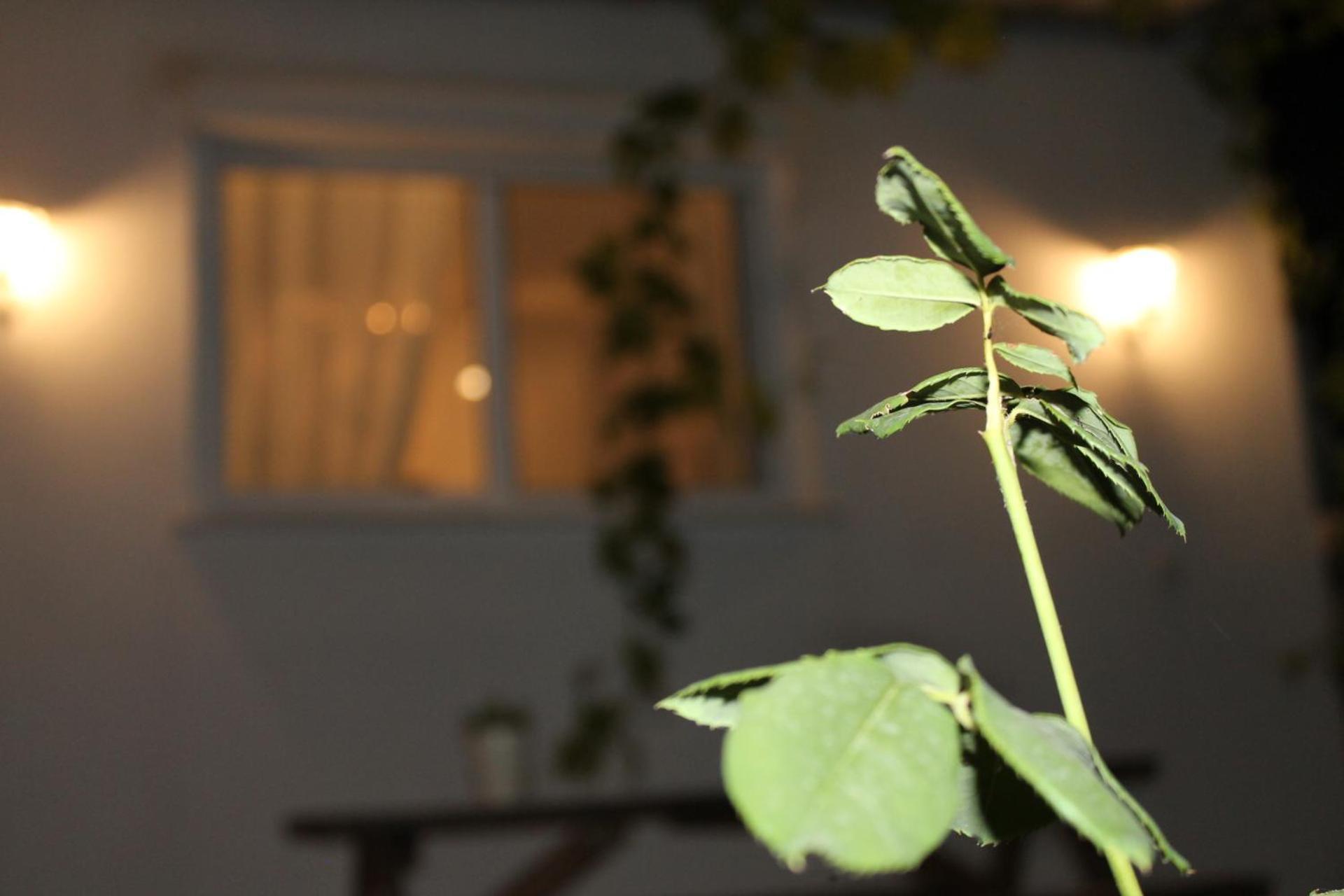 Ηώς Apartment Thassos Eksteriør billede